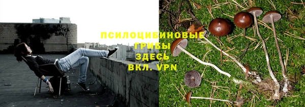 наркотики Алексин